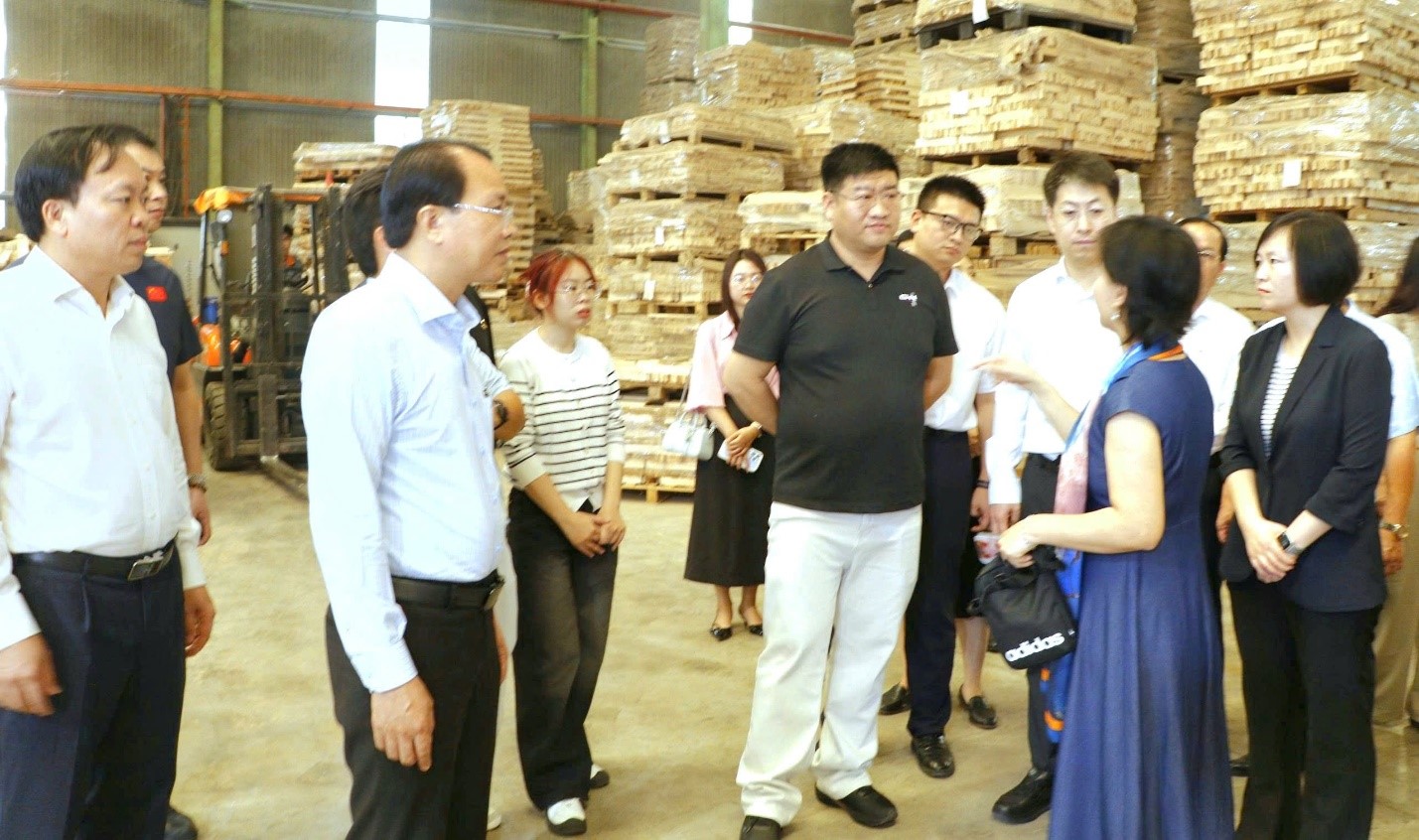 langdaotiepdocchauTQ 2